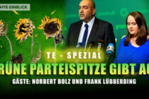 Grüne Parteispitze gibt auf: Wohin geht die Partei?