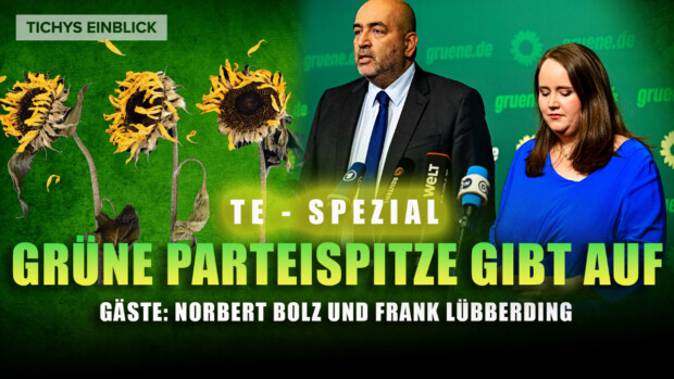 Grüne Parteispitze gibt auf: Wohin geht die Partei?