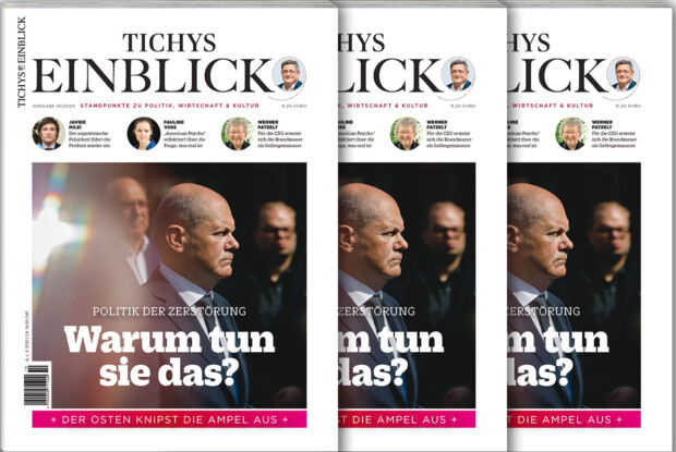 Tichys Einblick 10-2024: Warum tun sie das?