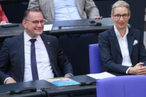 Insa: AfD wieder bei 20 Umfrage-Prozenten wie im März