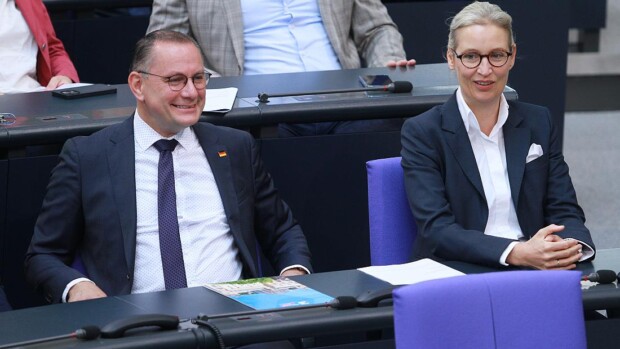 Insa: AfD wieder bei 20 Umfrage-Prozenten wie im März