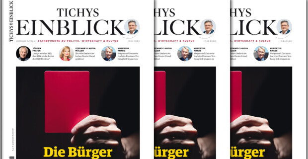 Tichys Einblick 11-2024: Die Bürger wehren sich