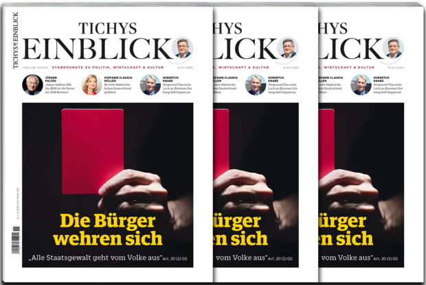 Tichys Einblick 11-2024: Die Bürger wehren sich