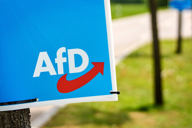 Die AfD und die Zeit